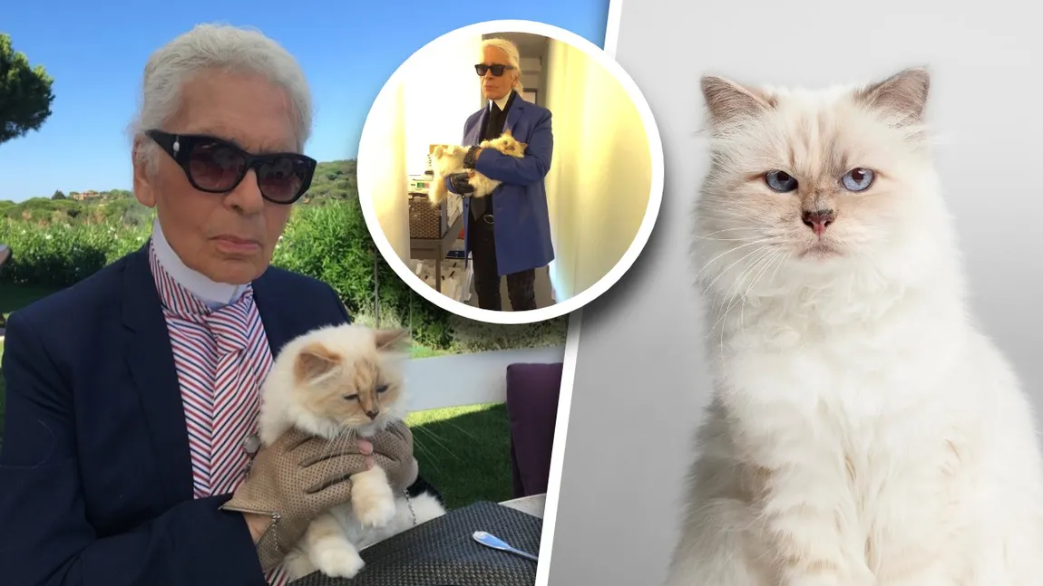 Cea mai bogată pisică din lume a rămas falită. Choupette, felina lui Karl Lagerfeld, nu a pus lăbuța pe moștenirea lăsată de creatorul de modă
