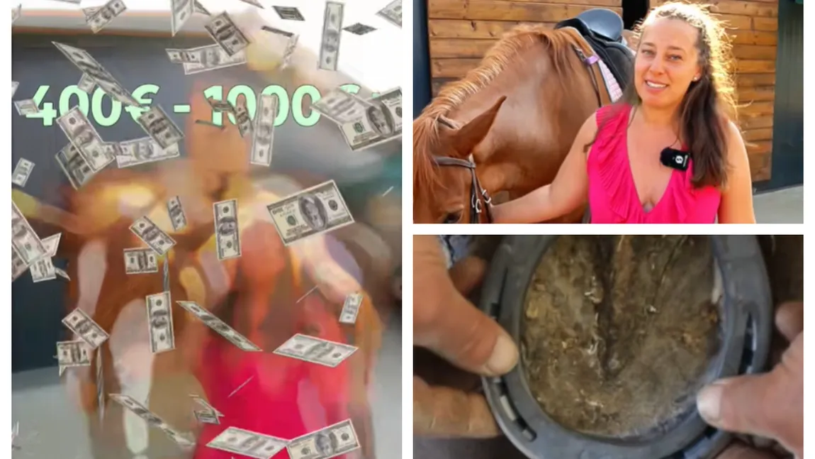 Hobby-ul bogaţilor! Cât costă lunar să deţii/închiriezi un cal. 
