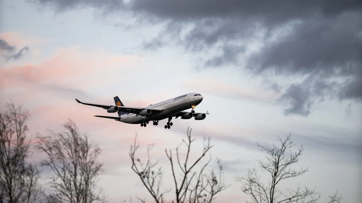Avion prăbușit în Bahamas. Pilotul și restul pasageilor au murit. O formație celebră ar fi fost la bordul aeronavei