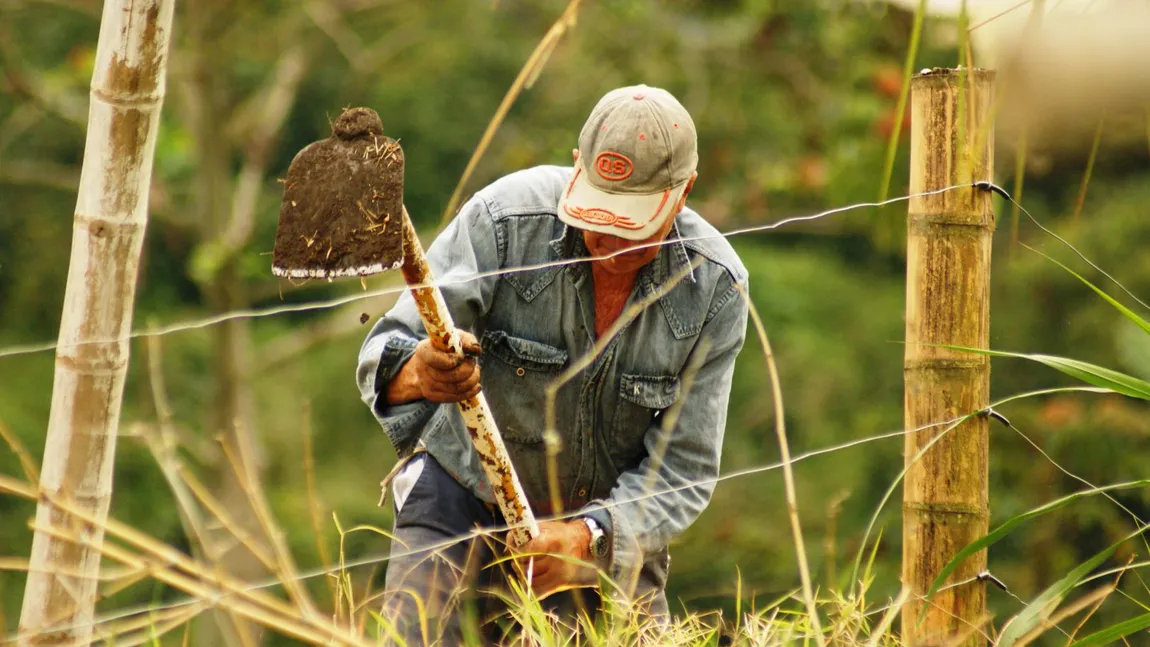 Ministrul Mediului anunță închisoare pentru fermierii care folosesc pesticide și apă pentru irigarea culturilor