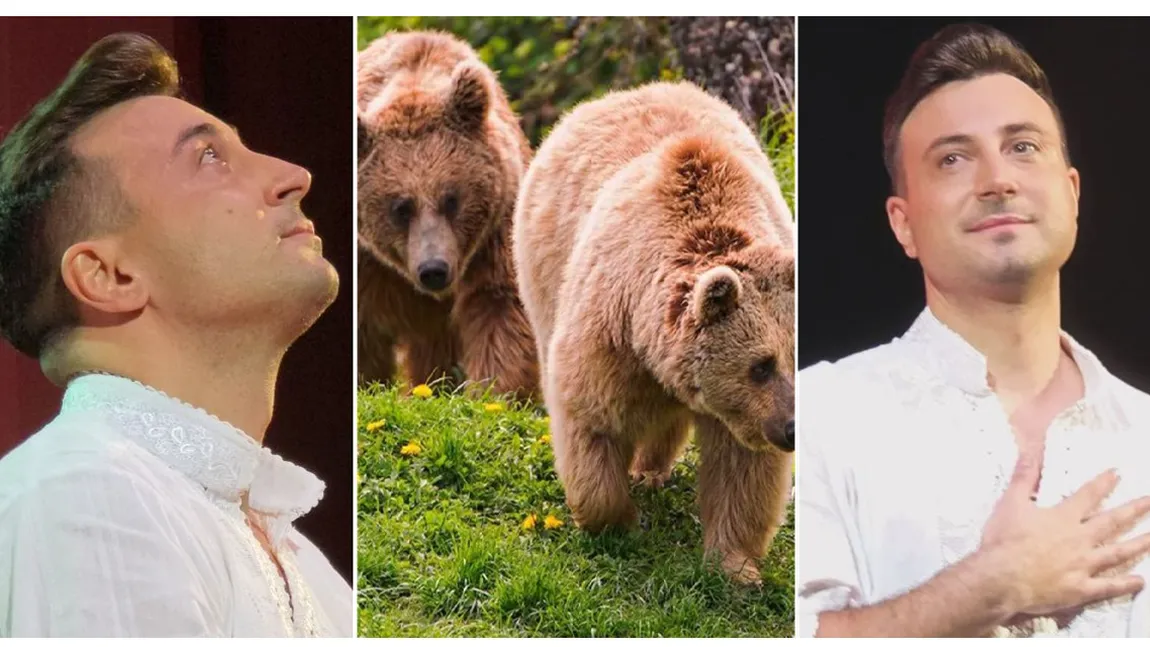 Valentin Sanfira a dat nas în nas cu doi urși: „Mari, imenși”. Artistul a trăit clipe de panică: „Nu am mai văzut niciodată aici la cabană” VIDEO