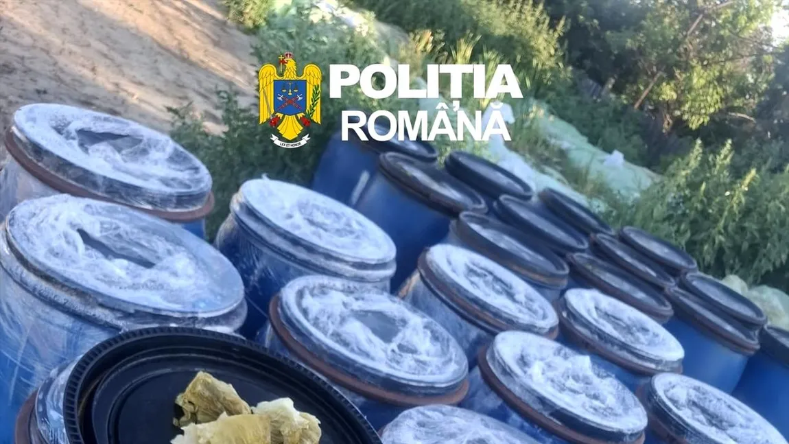 Opt tone de varză murată, distruse după ce au fost găsite depozitate în gropi săpate în pământ