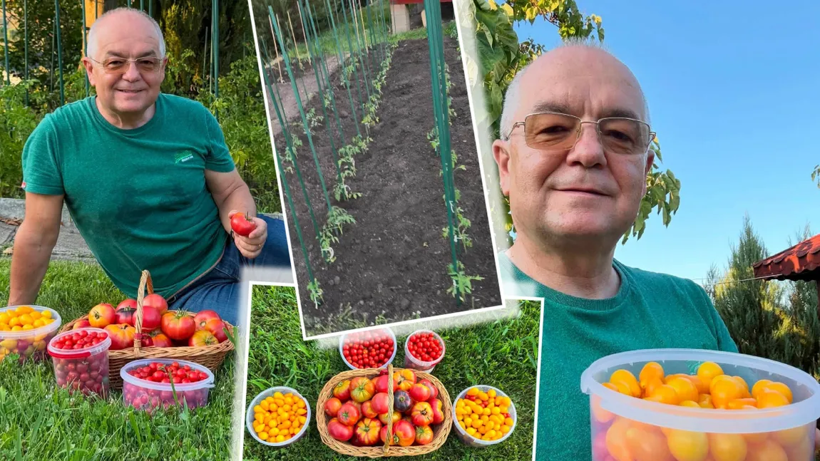 Emil Boc s-a fotografiat la strânsul recoltei: „Există o satisfacție pe care niciun magazin nu o poate oferi: aceea de a gusta din rodul propriei munci!