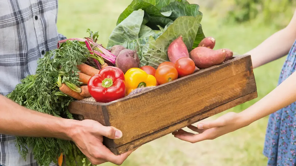Amenzi în valoare de 20.000 de lei pentru fermierii care nu raportează stocurile produselor agricole și alimentare