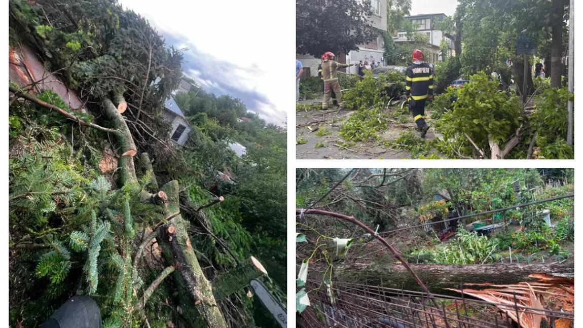Furtună violentă după caniculă. Stâlpi de electricitate şi copaci cazuţi peste locuinţe și pe carosabil