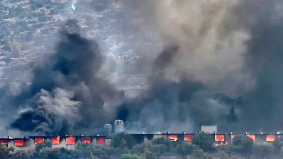 Noi incendii de vegetație lângă Atena. Grecia se confruntă cu un nou val de căldură