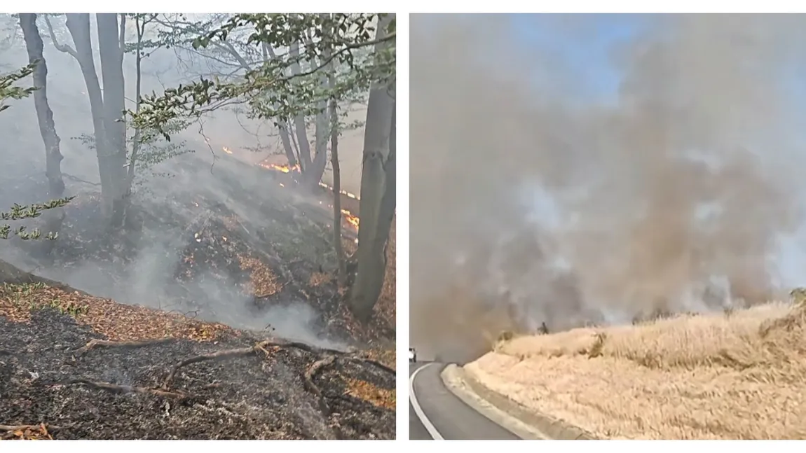 Ard munții în vestul țării. Flăcările au cuprins peste 250 de hectare, sute de oameni se luptă cu focul în apropiere de Băile Herculane
