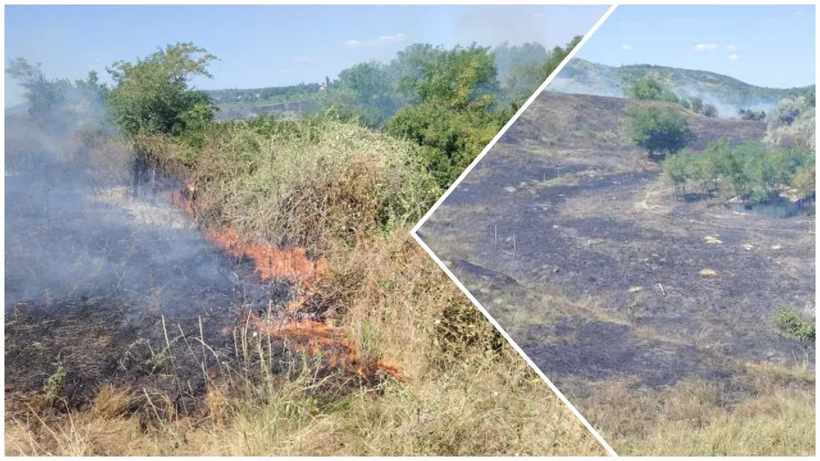 Incendiu de vegetație extins pe 20 de hectare în județul Buzău. A fost emis un mesaj RO-Alert