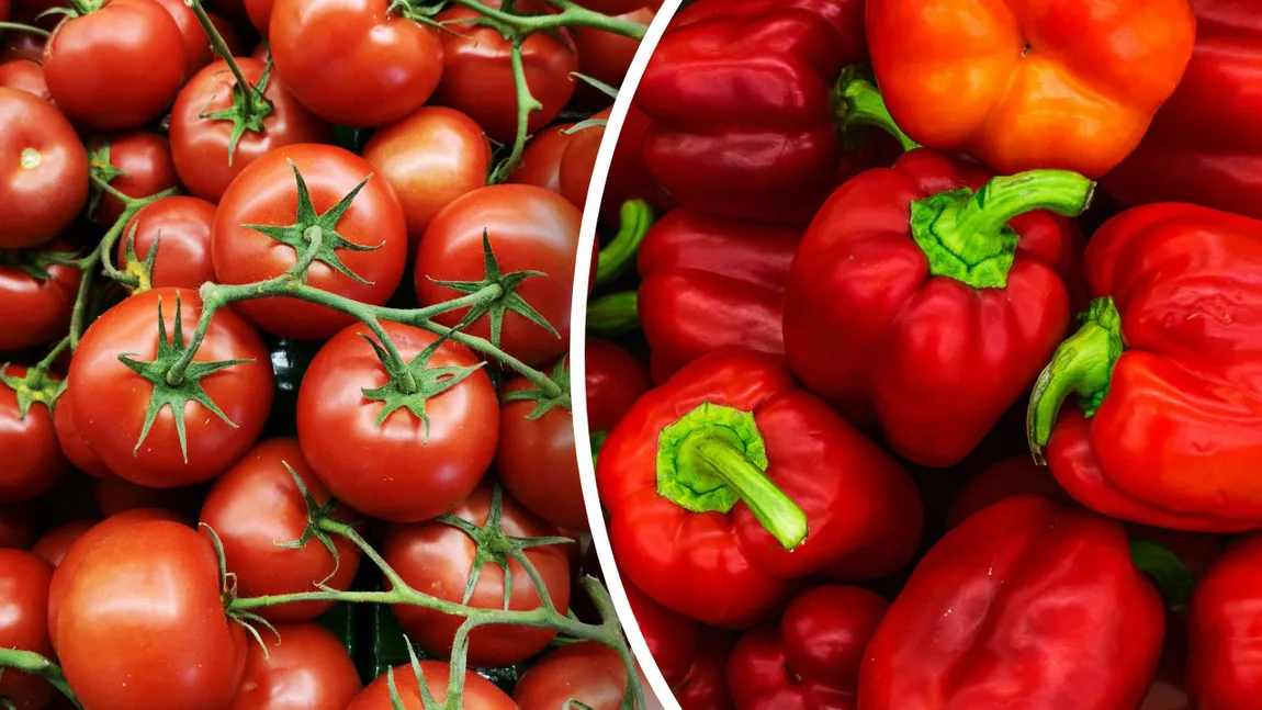 Cum păstrezi roșiile și ardeii proaspeți mai mult timp. Trucurile simple care previn risipa alimentară