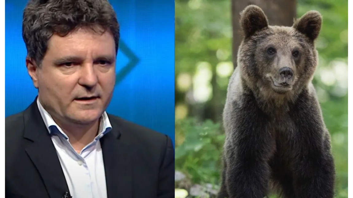 Nicuşor Dan insistă cu salvarea urşilor 