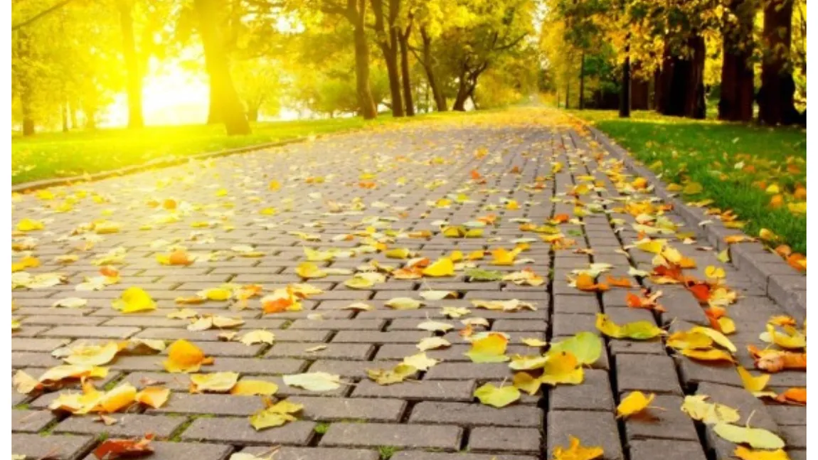 Prognoza meteo. Noi zile toride de vară, vremea bună se prelungeşte