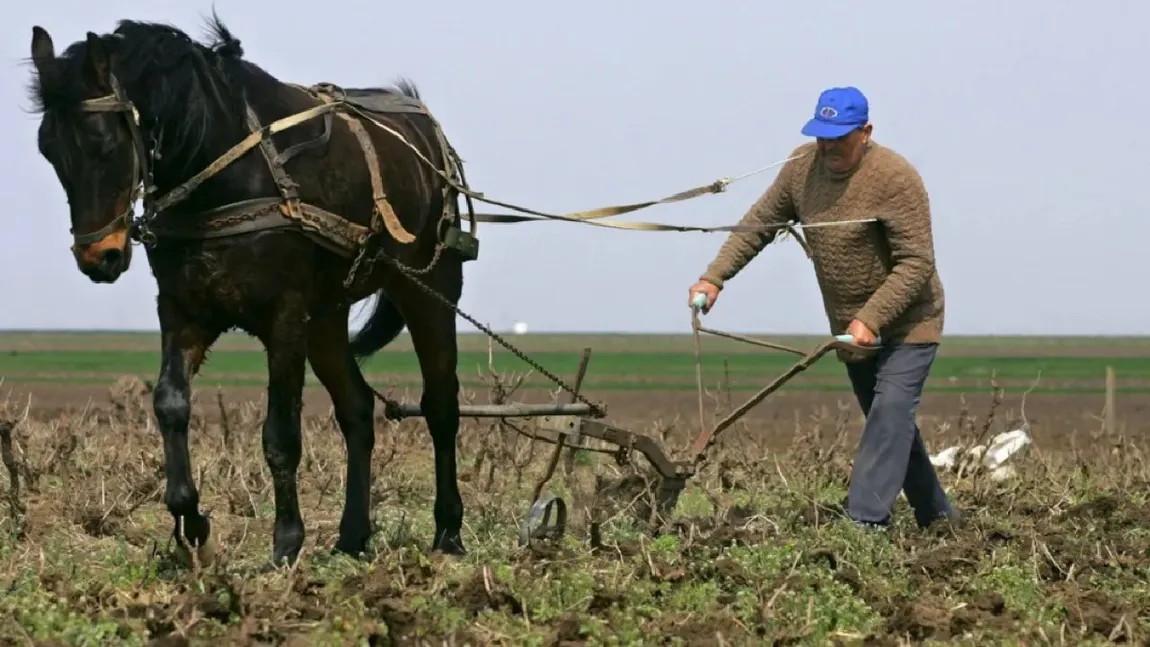 Ce salarii sunt în agricultură în 2026. Cât câștigă un angajat și care este diferența față de media națională