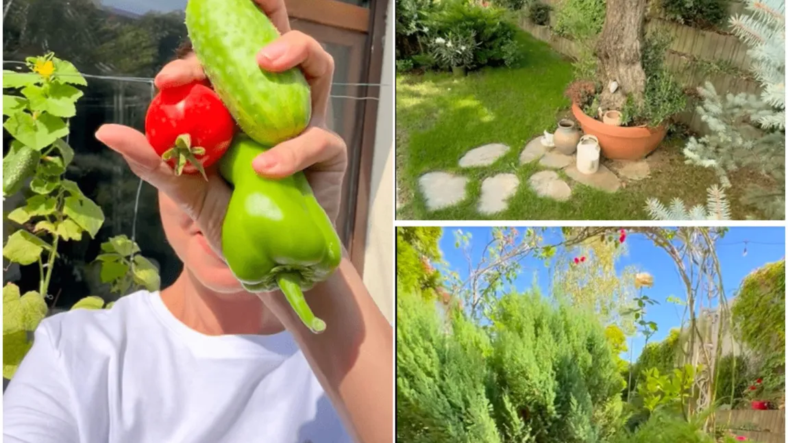 Andreea Marin, imagini noi din propria grădină. Cum arată colțul de rai al vedetei la început de toamnă: 
