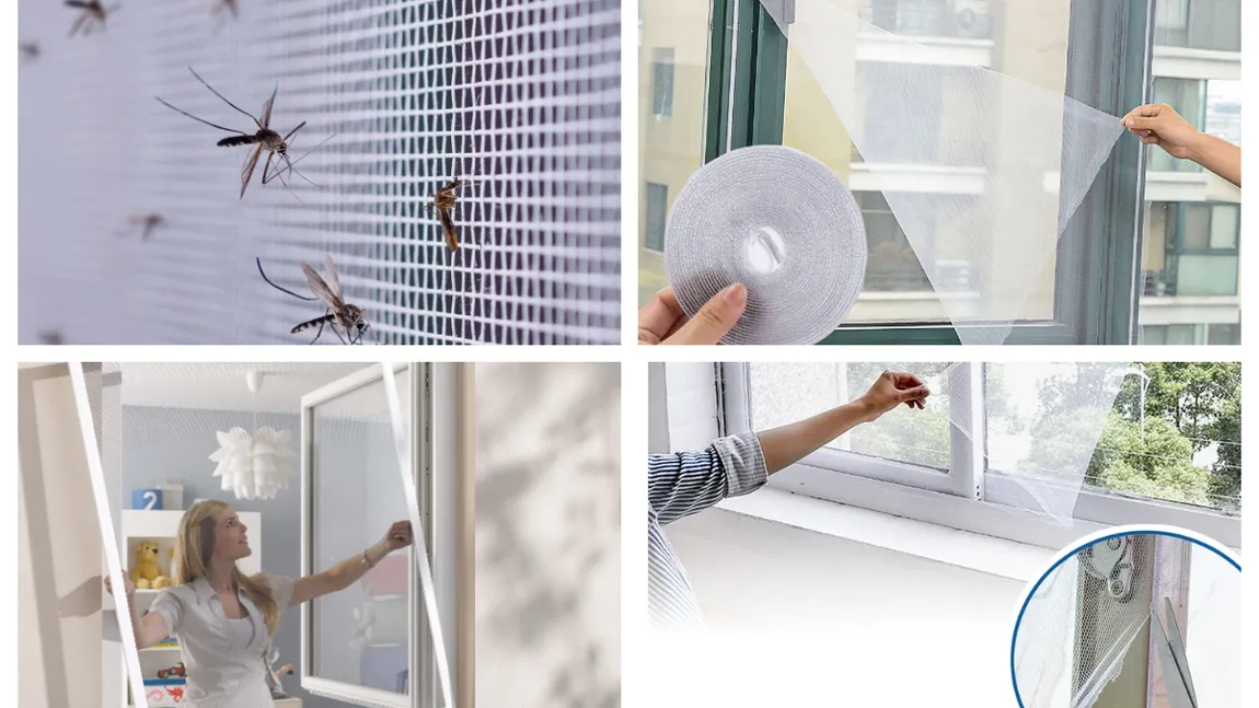 Ai plase la ferestre, dar insectele tot bâzâie când e somnul mai dulce? Greşelile care îţi aduc oaspeţi nepoftiţi în casă