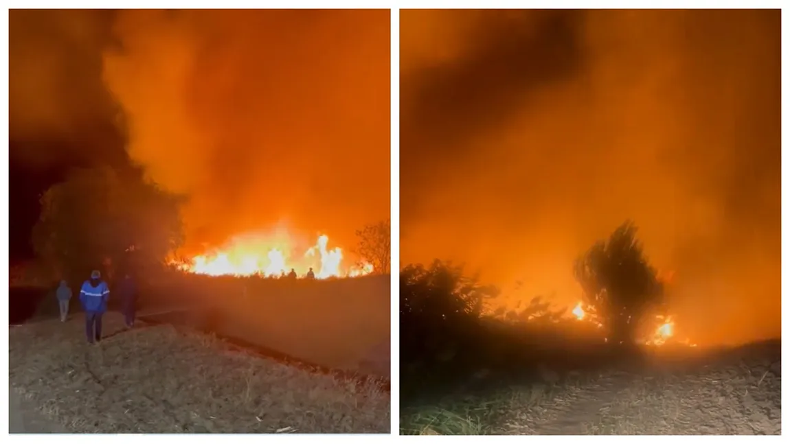 Incendiu de vegetație în Delta Banatului. Fumul a ajuns până în Timișoara