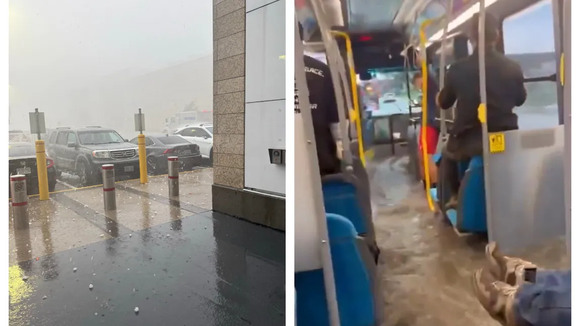 Furtună cu putere de uragan la Toronto. Peste 50.000 de locuinţe nu au curent, traficul aerian a fost blocat total VIDEO