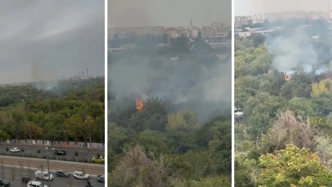 EXCLUSIV Incendiu în Delta Văcărești! Fumul este vizibil de la distanță, iar pompierii au ajuns la fața locului. VIDEO