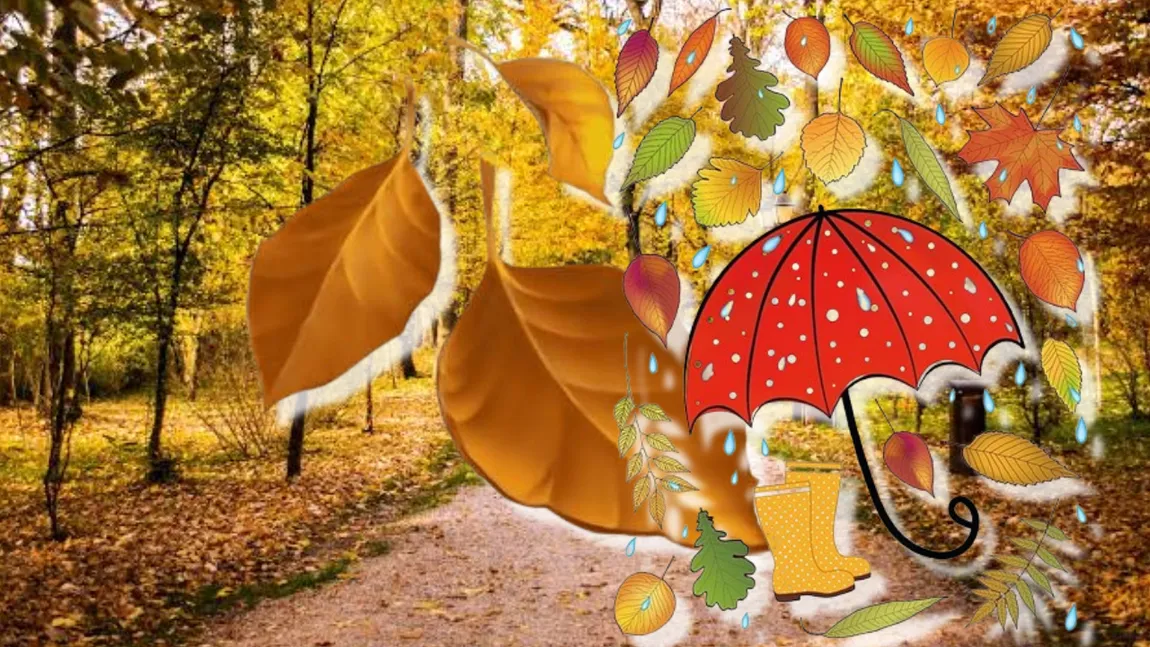 Prognoza meteo. Ploi slabe în weekend, toamnă mai aspră de săptămâna viitoare
