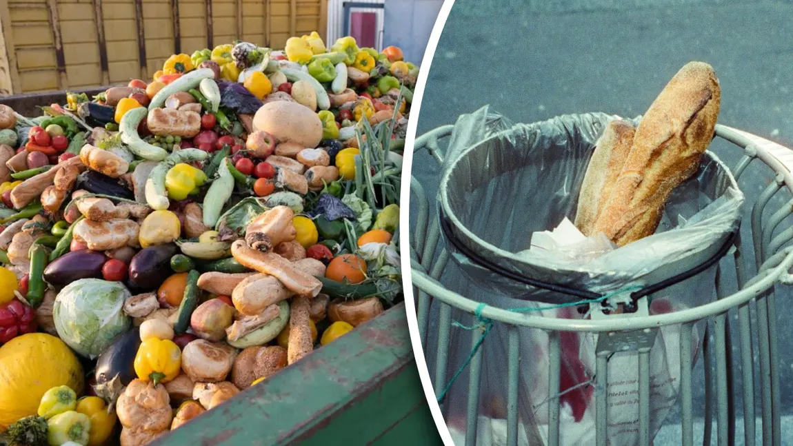 Risipa alimentară ne golește buzunarele. Cât ne costă, de fapt, mâncarea pe care o aruncăm