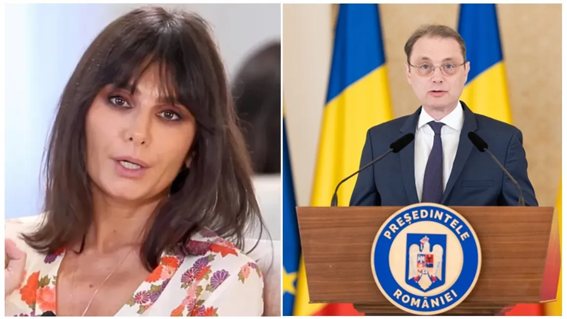 Dana Budeanu îl desființează pe Luca Niculescu: „Un neica nimeni, care n-a făcut nimic niciodată pentru România, pus de francezi. Ce experiență are Grinch să scrie programe de guvernare”