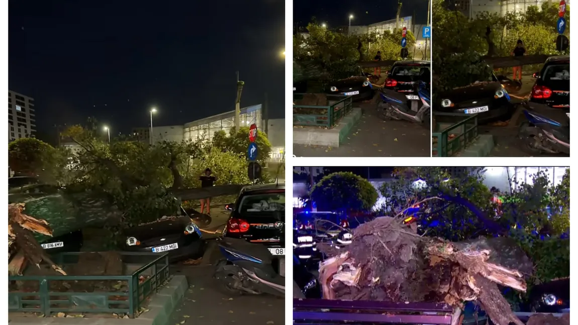 Copac căzut peste maşini şi pietoni în Sectorul 6. Imaginile cu momentul prăbuşirii, surprinse de un trecător VIDEO
