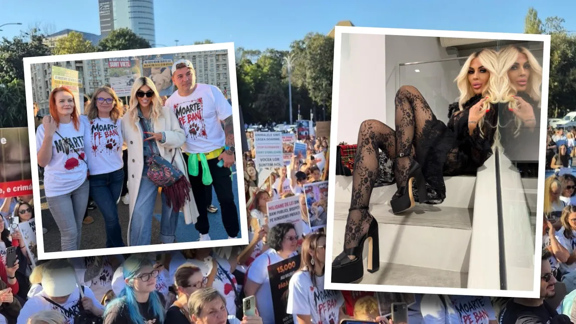Raluca Bădulescu sare la gâtul influencerilor după protestul pentru drepturile animalelor: „Pe nimeni nu am văzut să se implice în aceste cauze”