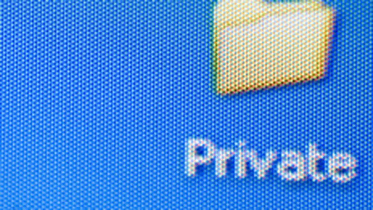 Nici un virus major in 2006, atacurile informatice se reorienteaza