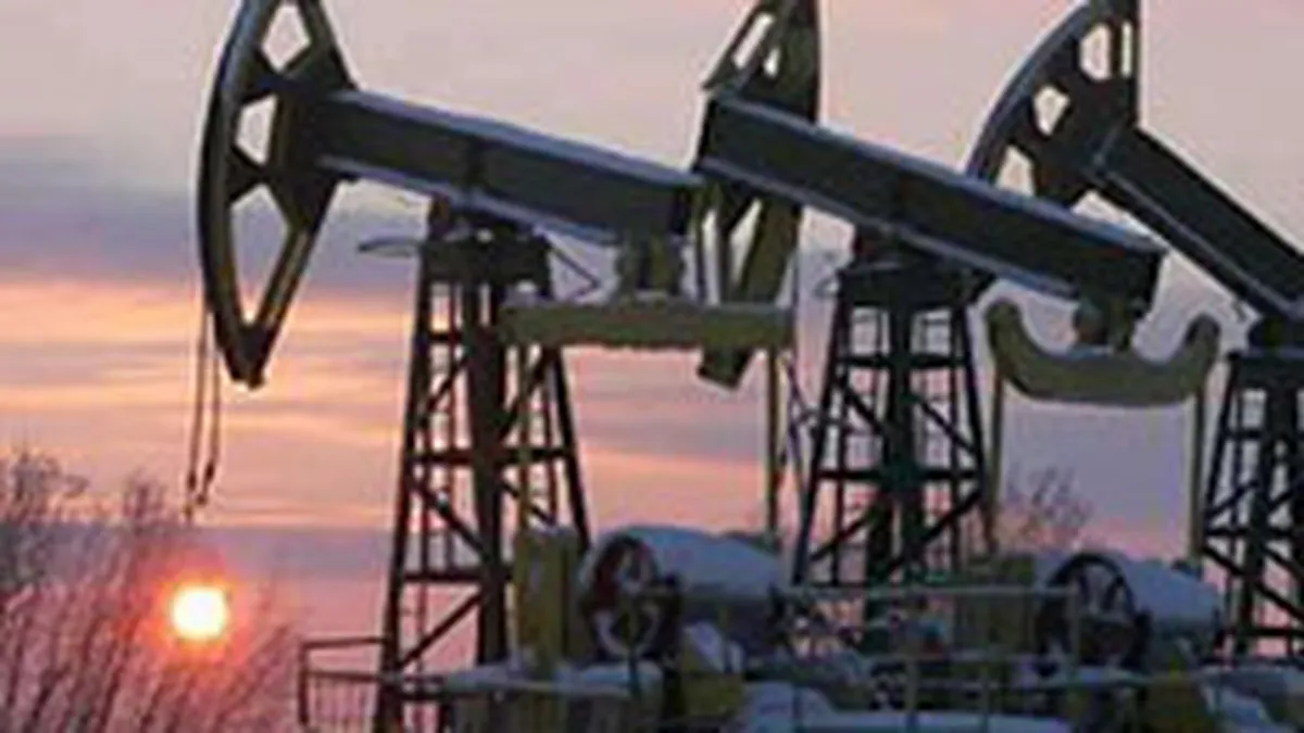 FMI: Economia mondiala va creste cu 5% in 2007