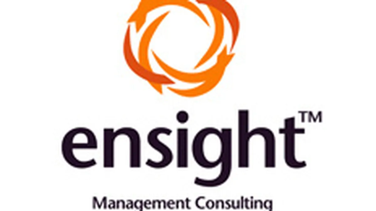 Ensight, venituri de 2,2 ori mai mari din consultanta in 2006