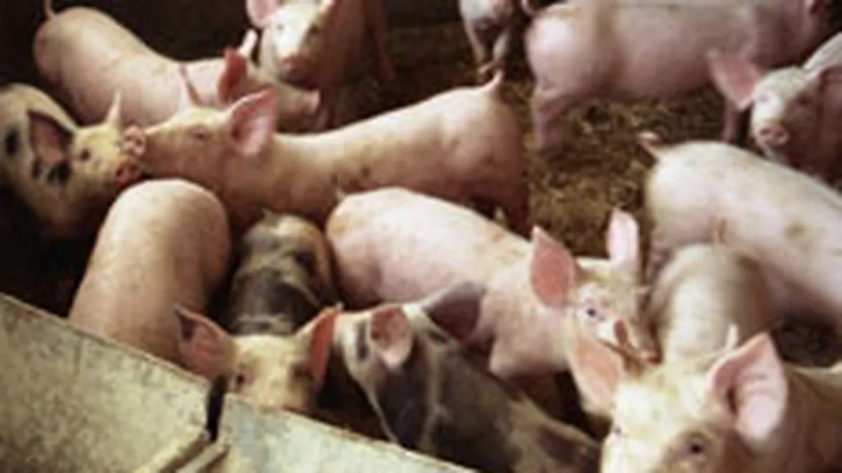 Smithfield Romania si-a majorat capitalul social cu 21 mil. euro