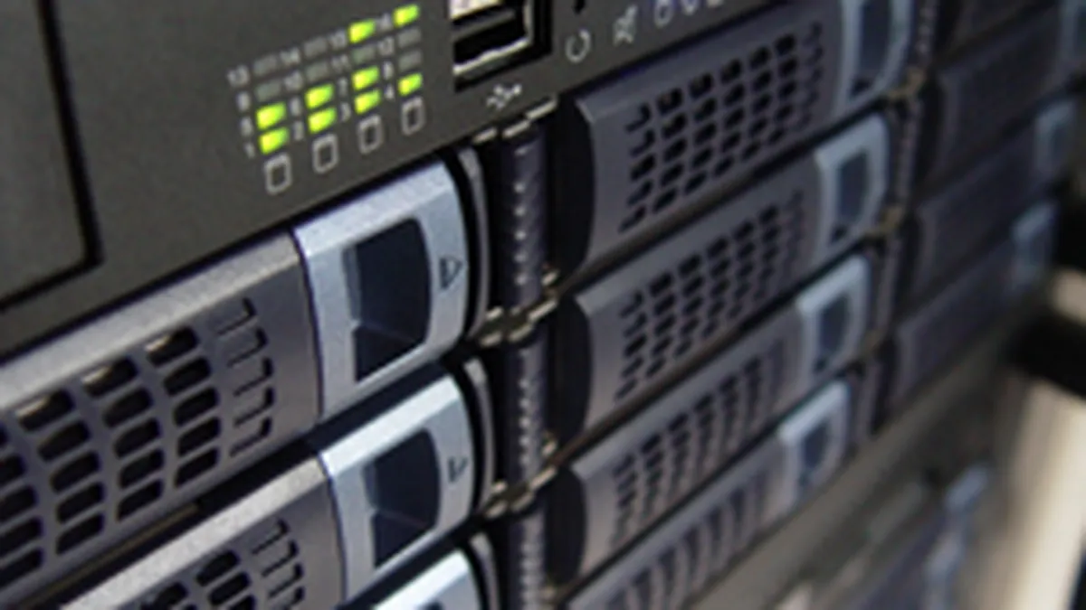 Tinta IT&S: afaceri de 30 mil. euro pana in 2008