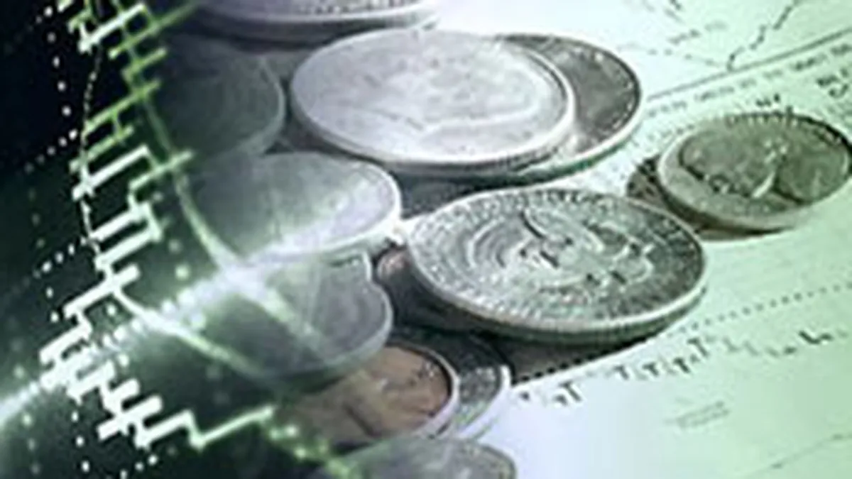 Fondurile de risc au atras mai putini bani in 2006