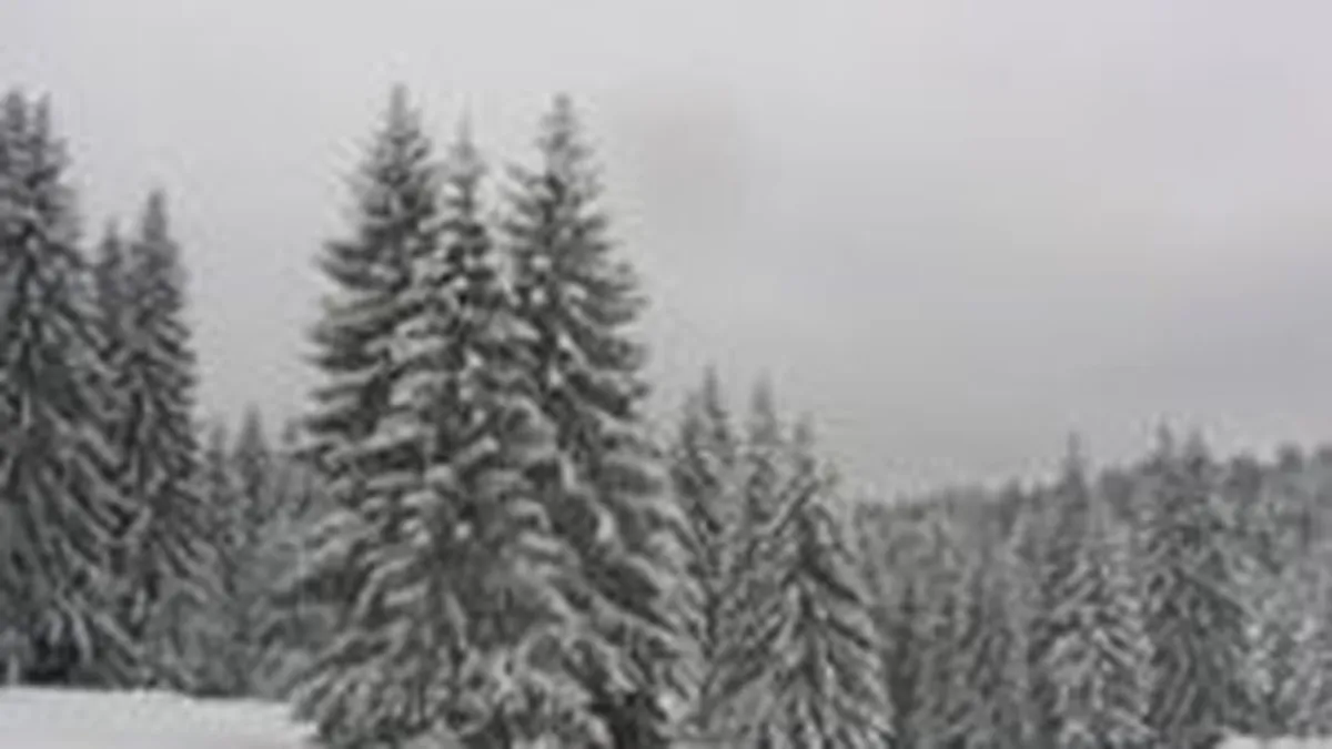 Un nou val de investitori irlandezi studiaza real-estate-ul romanesc