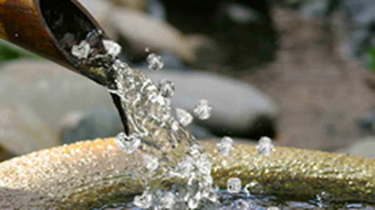 Industria diamantelor a ajuns la 11,5 mld. de dolari in 2005