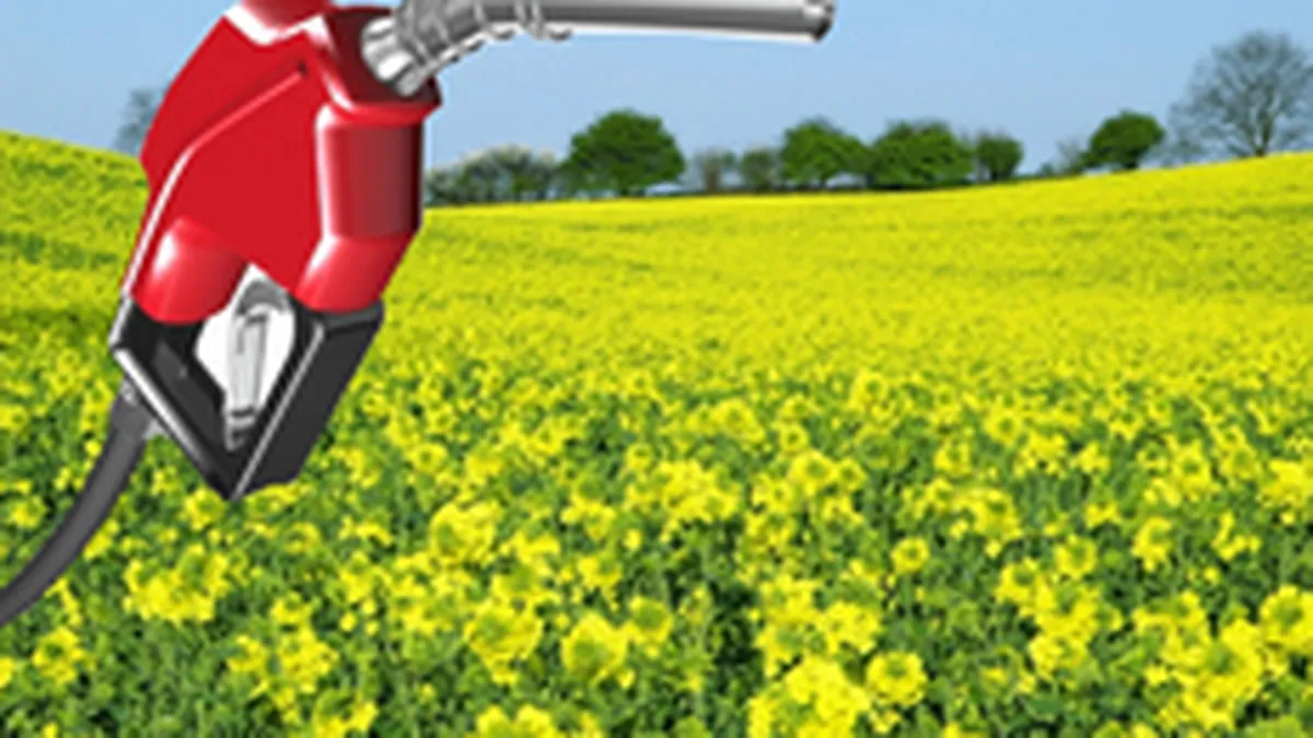 \Petrolul verde\ atrage investitii de peste 100 mil. euro anul acesta