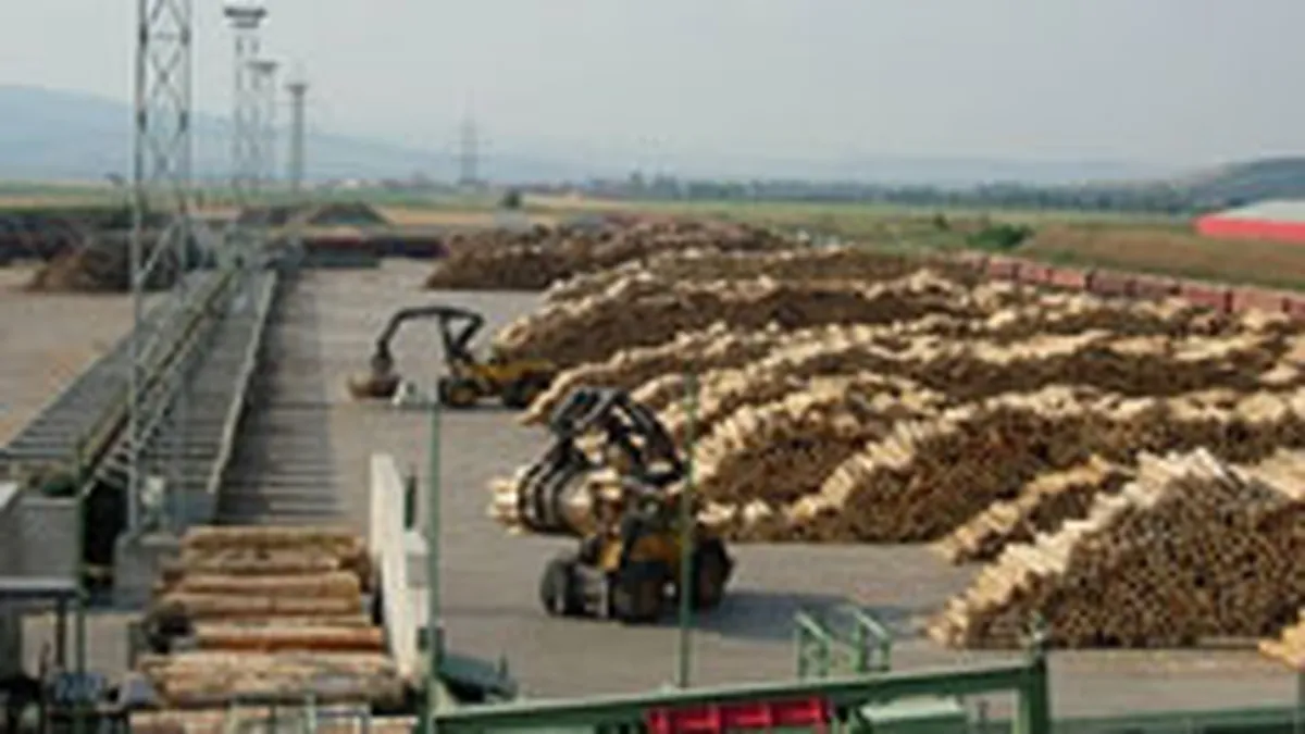 Investitiile unguresti in Romania sunt estimate la 345 de milioane de euro in 2007