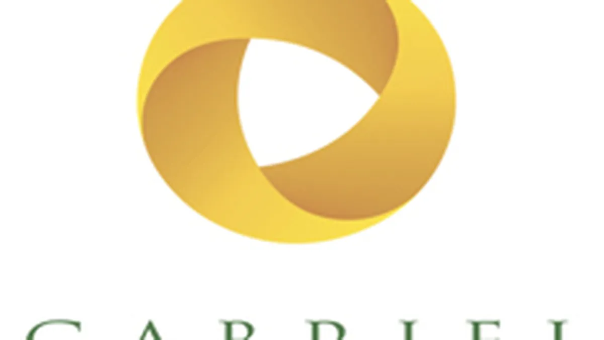 Gabriel Resources - pierderi nete de 1,6 milioane euro