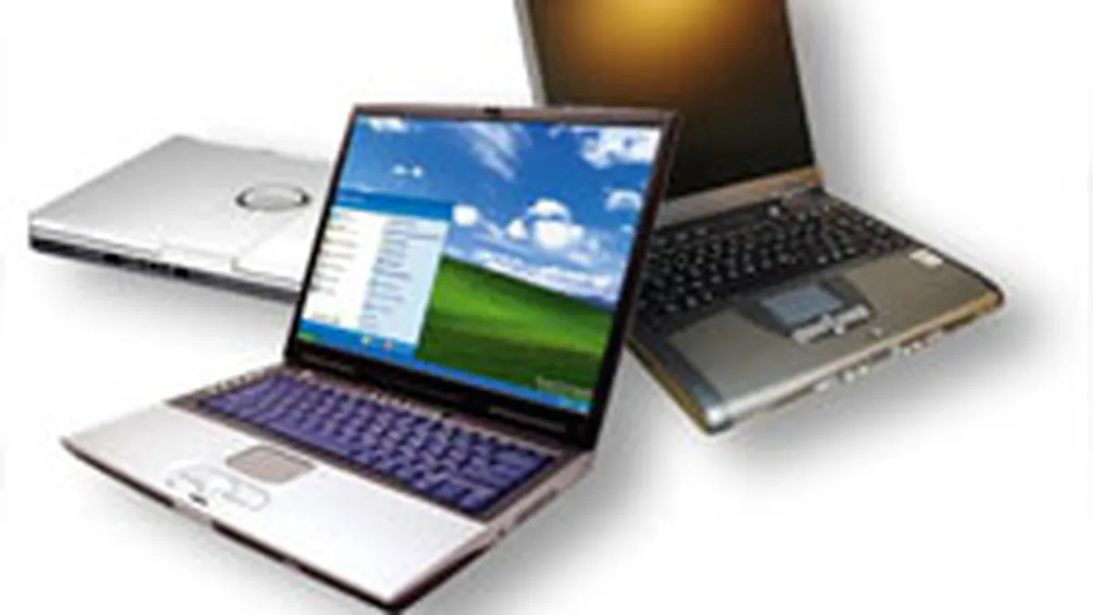 Flamingo: Laptop-urile au urcat la 25% din vanzarile de computere in T1