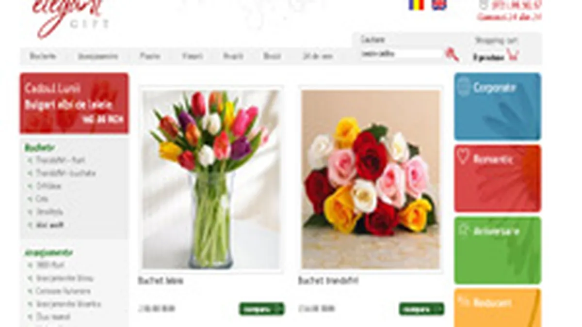 Creative Mind estimeaza o cifra de afaceri de 100.000 euro in 2007 din magazine online