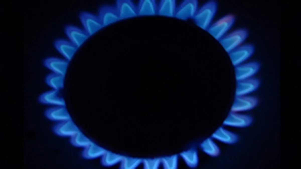 Gazprom si OMV isi largesc parteneriatul in distributia de gaz din Europa de Est