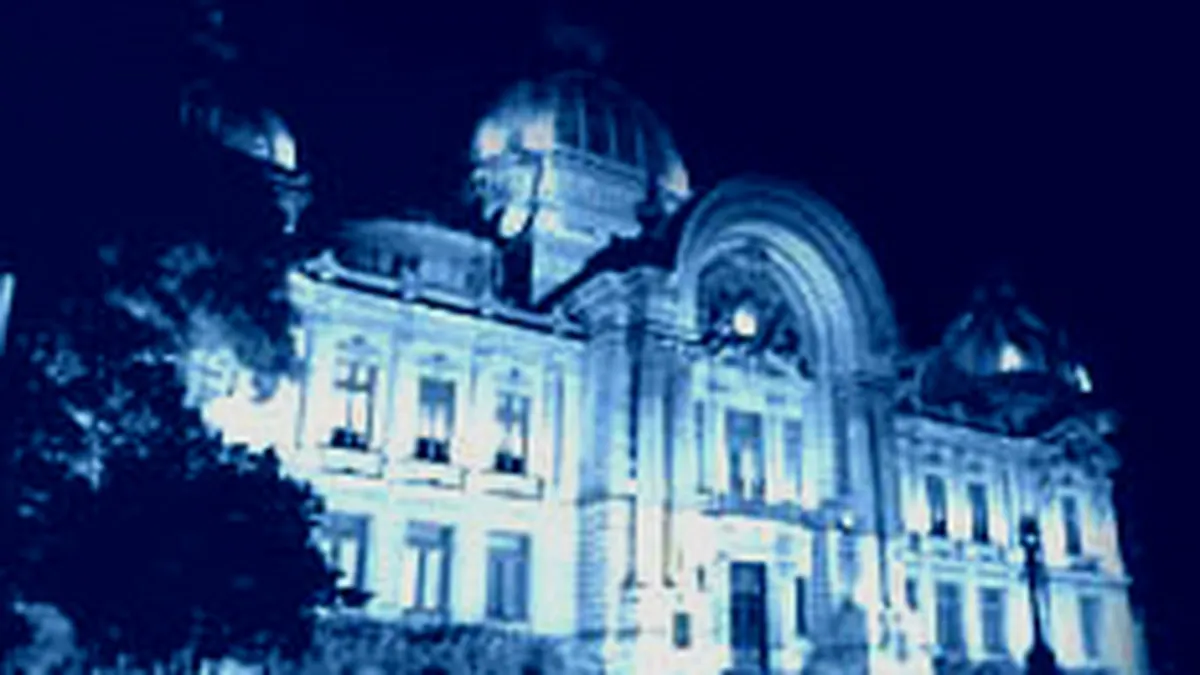 CEC nu va fi privatizata anul acesta, posibil abia in 2009