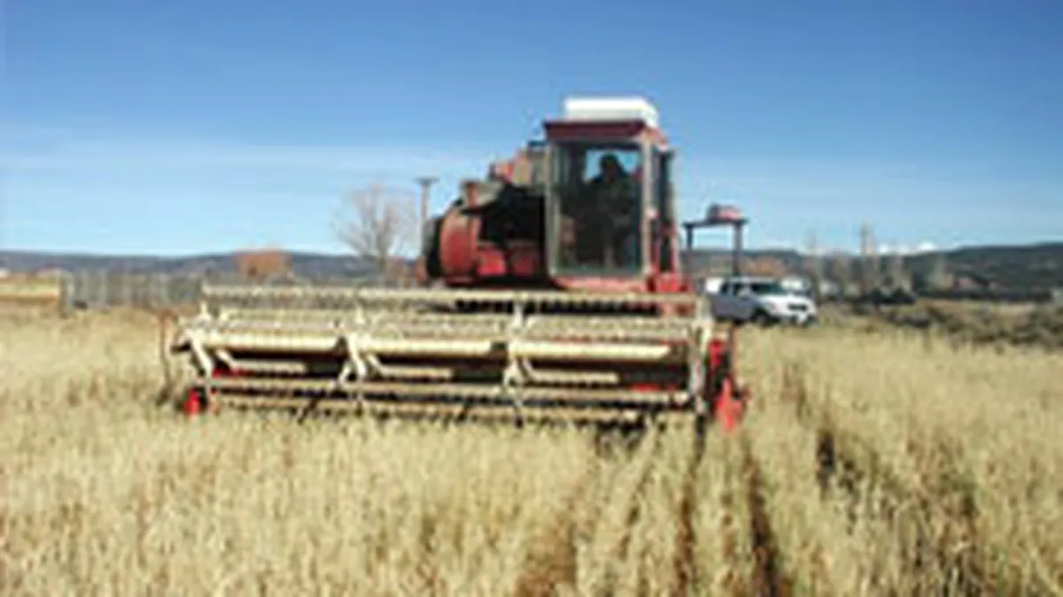 Patru banci liciteaza pentru administrarea fondurilor pentru agricultura