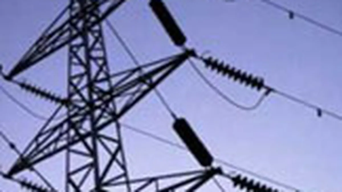 Enel preia astazi Electrica Muntenia Sud, pentru 820 mil.euro