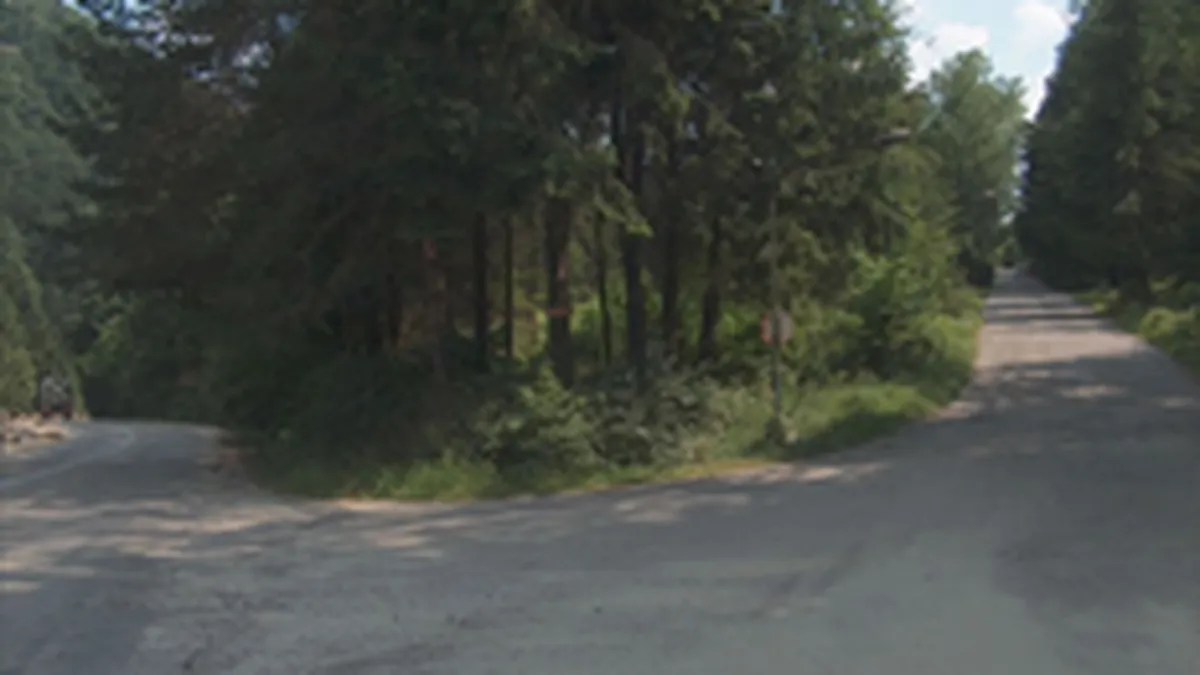 Un teren de 1,6 milioane euro a fost scos la vanzare in zona Baile Olanesti