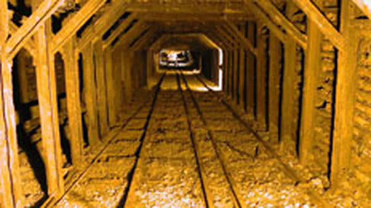 Fondurile private vor investi in sectorul minier