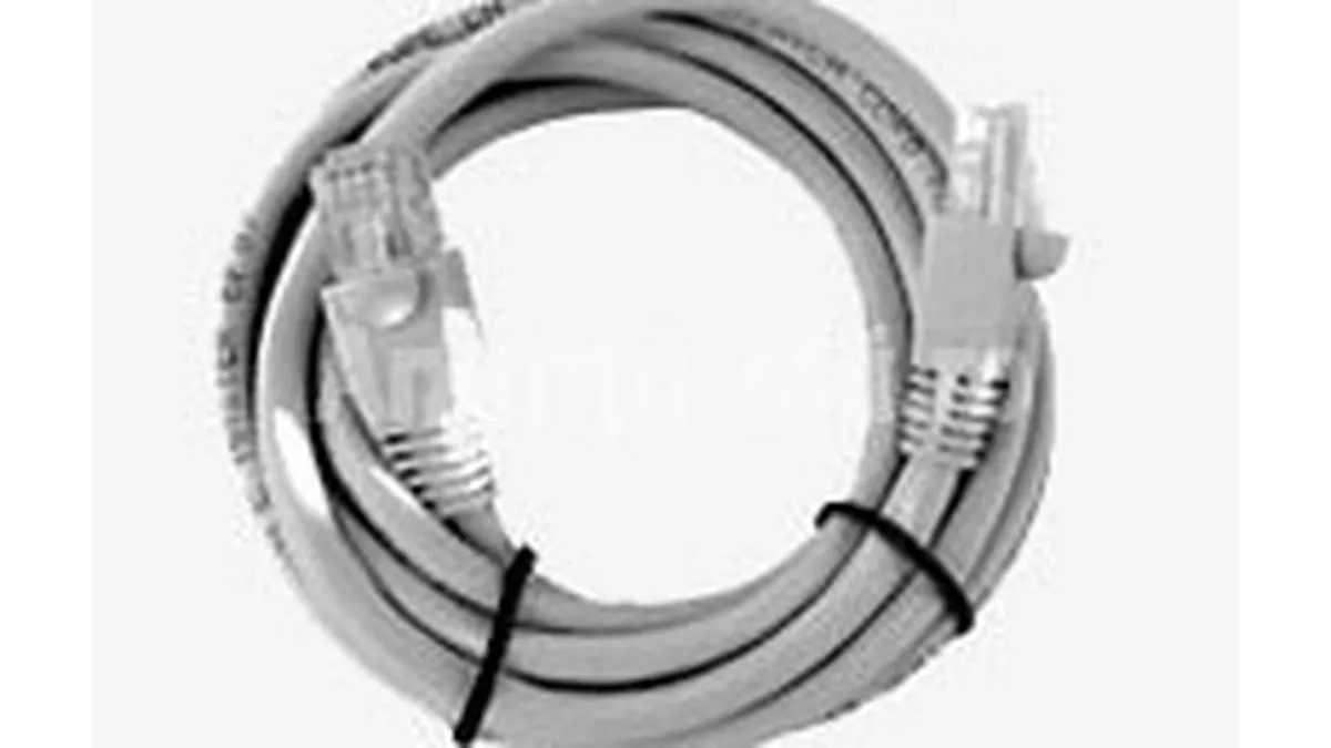 ProCa estimeaza afaceri de 1 mil. euro pe an in parteneriat cu Molex