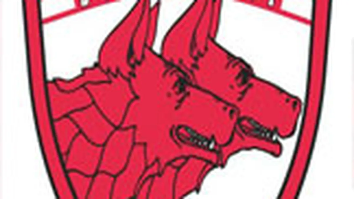 Orange a devenit sponsorul echipei de fotbal Dinamo Bucuresti