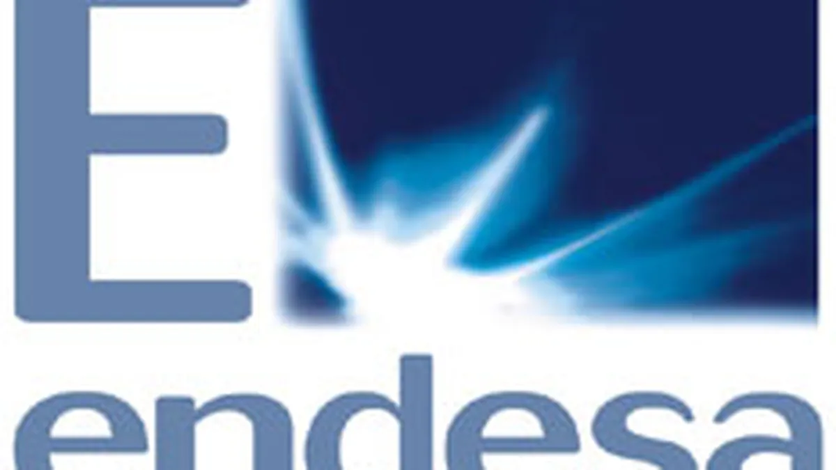 Grupul Enel lanseaza obligatiuni in valoare de 10 mld. euro