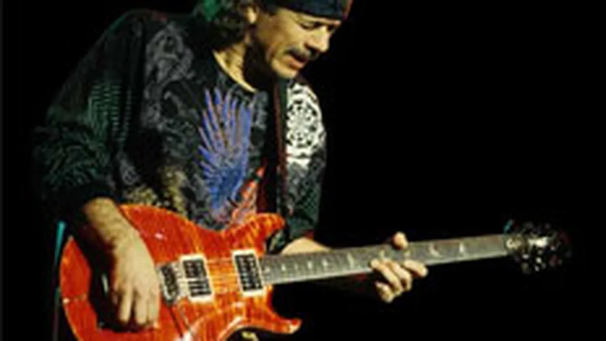 Piata chitarelor de marca, incetinita de produsele contrafacute si de taxele vamale