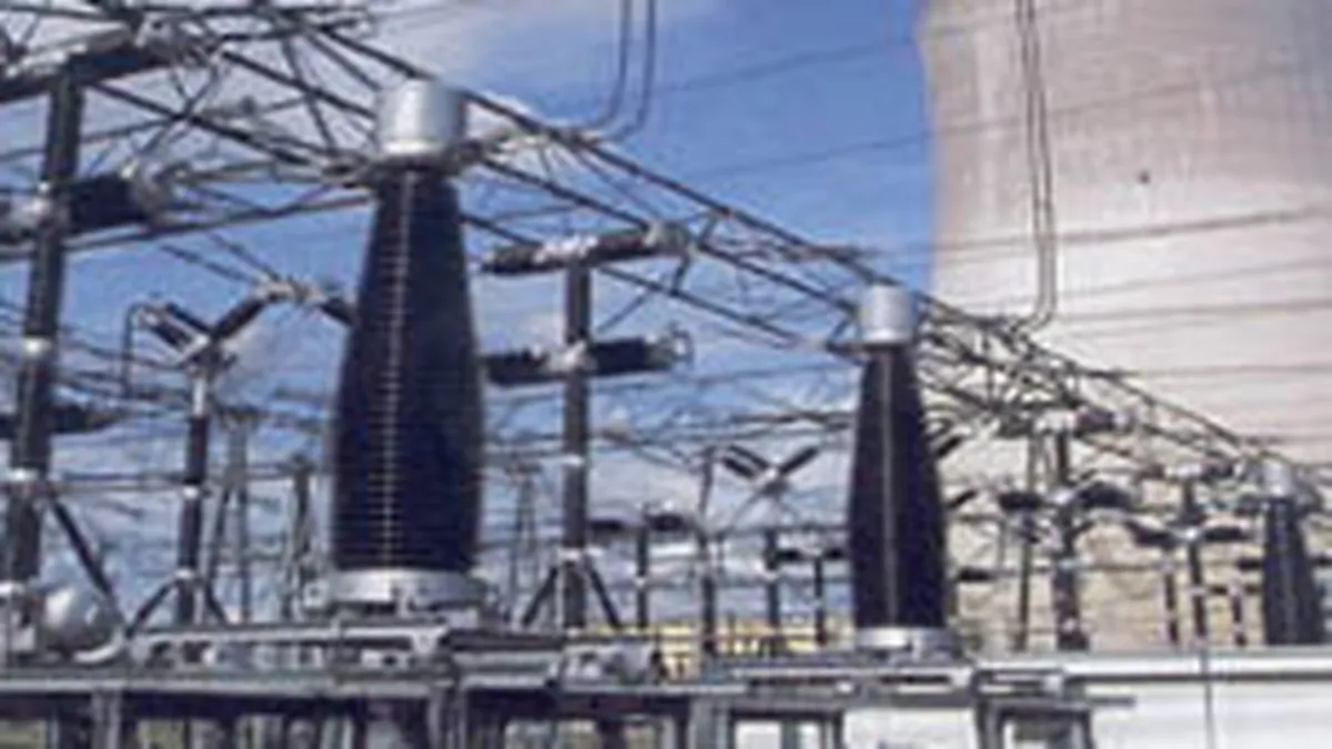 Noile companii desprinse din Electrica vor functiona de la 1 septembrie